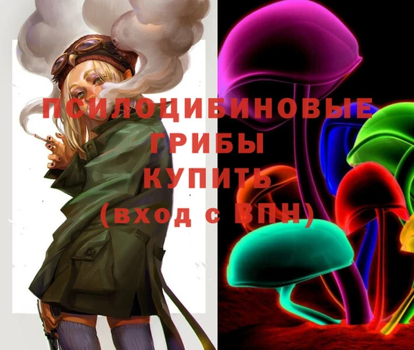 бошки Осташков