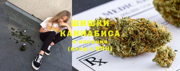 ПСИЛОЦИБИНОВЫЕ ГРИБЫ Остров