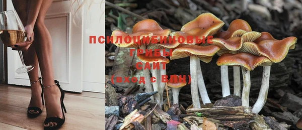 2c-b Няндома